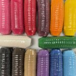 Paper Cupcake Liners